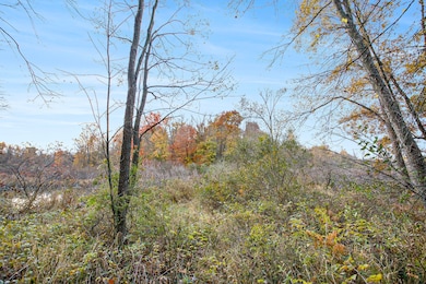 15800 N Dr N, Marshall, MI 49068 - photo 2