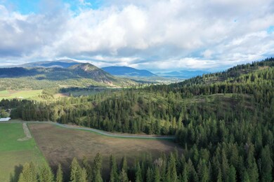 xxx Immel Rd, Chewelah, WA 99109 - photo 4