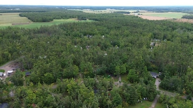 3264 Coolwater Ave, Johannesburg, MI 49751 - photo 7