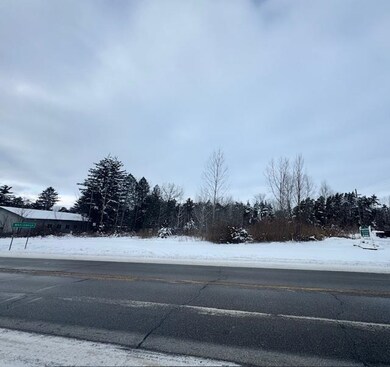 V/L W Caro Rd, Indianfields Township, MI 48723 - photo 2