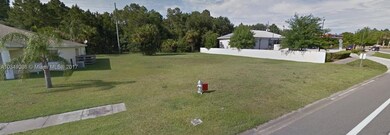 20725 Macon Pkwy, Orlando, FL 32833 - photo 3