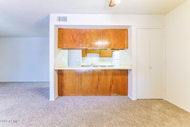 4401 E Contessa St unit 2, Mesa, AZ 85205 - photo 7