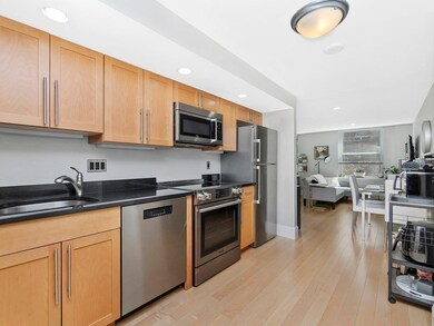 Washington on the Square unit 104, Brookline, MA 02446 - photo 5