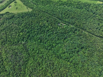 8 Acres Farm Road Sw4381, Noel, MO 64854 - photo 2