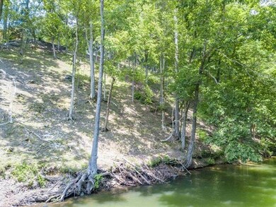 0 Ridge View, Savannah, TN 38372 - photo 5