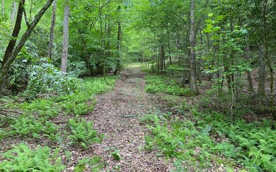 Additional View