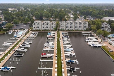 Harbor oselka