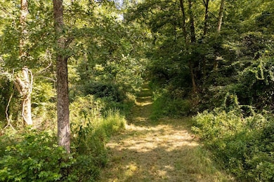 000 Shiloh Rd, Cobden, IL 62920 - photo 6