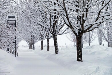 161216_snowy_msv_036