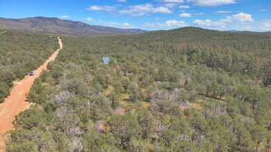0 Ranger Ave unit 25579528, Timberon, NM 88350 - photo 3