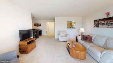 5901 Mount Eagle Dr unit 507, Alexandria, VA 22303 - photo 5