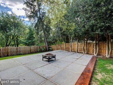 509 Barr Ave, Winchester, VA 22601 - photo 5