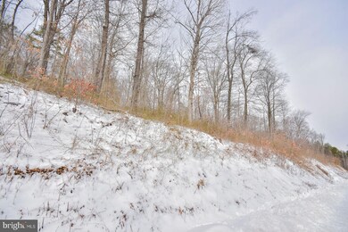 2965 Hampshire Grade Rd, Hedgesville, WV 25427 - photo 2