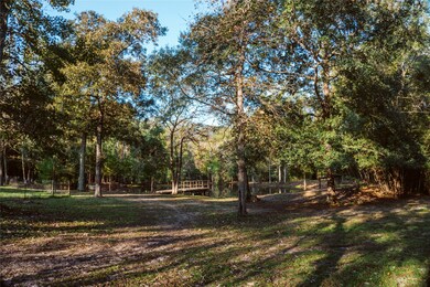 703 Placid Lake Ln, Magnolia, TX 77354 - photo 3