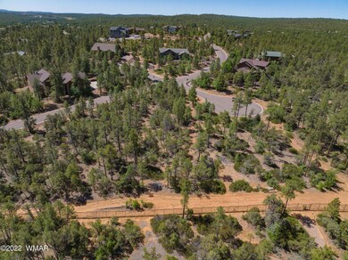 1680 S Twin Peak Trail, Show Low, AZ 85901 - photo 3