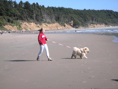 Otter Rock 2010 013
