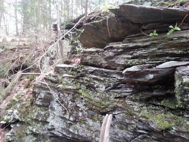 0 Breakneck Hill Rd, Charlestown, NH 03603 - photo 6