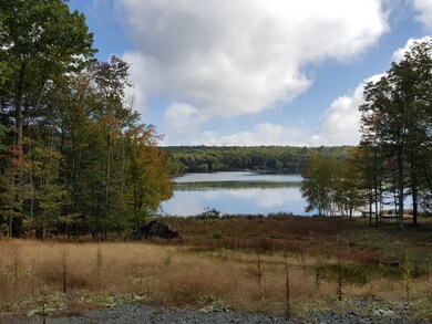 196 Fawn Lake Dr, Lackawaxen Township, PA 18428 - photo 2