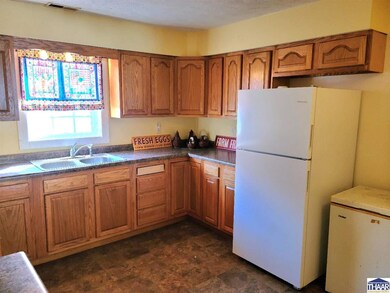 5421 N Riverside Rd, Attica, IN 47918 - photo 5