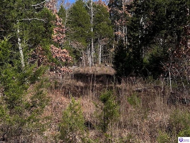 0 Mount Zion Rd unit HK25004890, Bowling Green, KY 42101 - photo 6