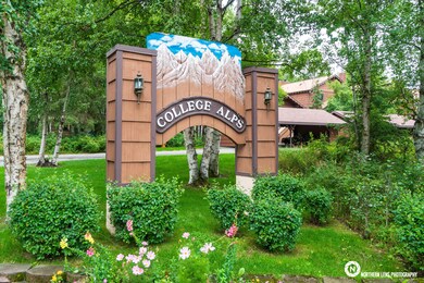 28_CollegeAlps
