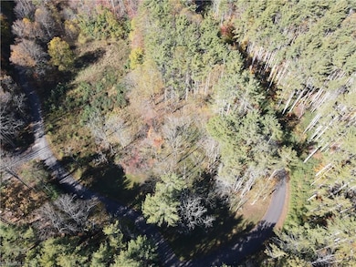 TBD Jake Blackburn Rd, Lansing, NC Lansi - photo 3