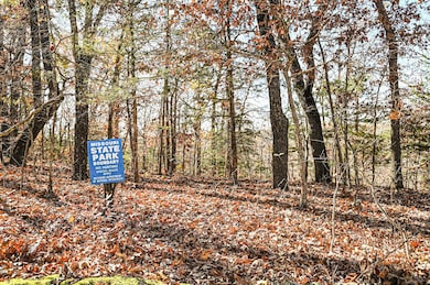 000 Swinging Bridges Rd, Brumley, MO 65017 - photo 4