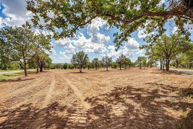 Lot 3 Garner-Adell, Weatherford, TX 76088 - photo 6