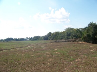 36528 Betka Rd, Hempstead, TX 77445 - photo 4