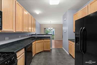 2212 Gallant Fox Cir unit 702, Montgomery, IL 60538 - photo 7