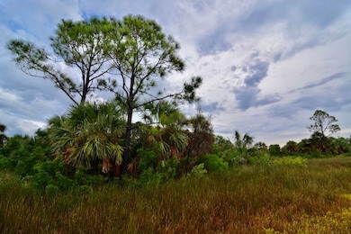 00 Beach Rd unit LotWP001, Perry, FL 32348 - photo 3