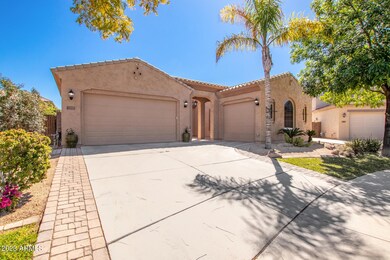 04 Lantana 2533