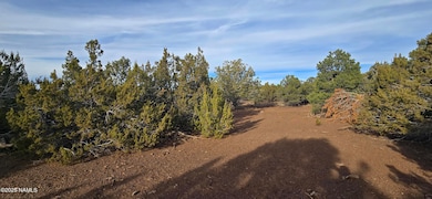 2393 E Starry Night Way unit 15, Williams, AZ 86046 - photo 6