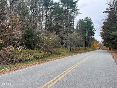 L34 Truesdale Hill Rd, Lake George, NY 12845 - photo 4