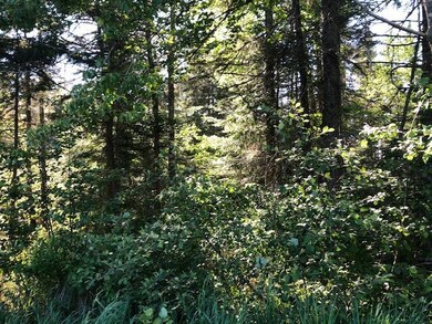 IMG_2626