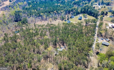 0 Davis Rd unit 10490616, Fayetteville, GA 30215 - photo 4