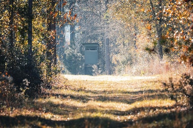 0 N County Line Rd, Sylvester, GA 31791 - photo 5