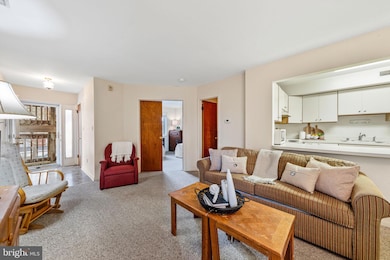 14301 Tunnel Ave unit 2I, Ocean City, MD 21842 - photo 7