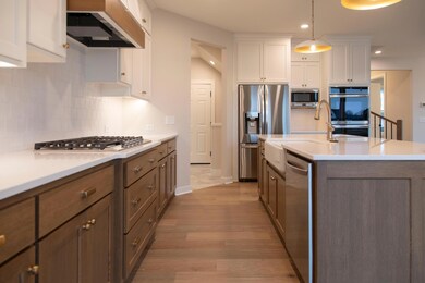 10361 Peony Ln N, Maple Grove, MN 55311 - photo 5