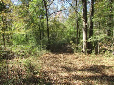 Hwy 43, Canton Mississippi 43, Canton, MS 39046 - photo 7