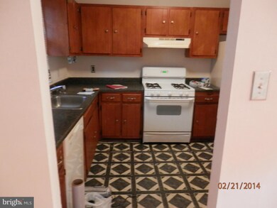 510 Hill Rd, Hyattsville, MD 20785 - photo 6