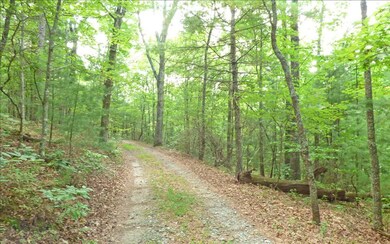 Lot 6 Doublehead Gap Rd, Blue Ridge, GA 30513 - photo 3