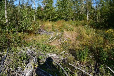 Land was harvested recently