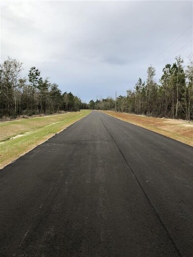 6 Ridge Ct, Crawfordville, FL 32327 - photo 2