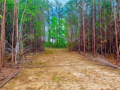 Reeves Rd SE, Ruth, MS 39662 - photo 3