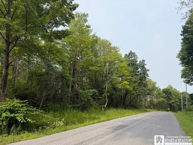 0 Horton Rd, Ellicott, NY 14701 - photo 2