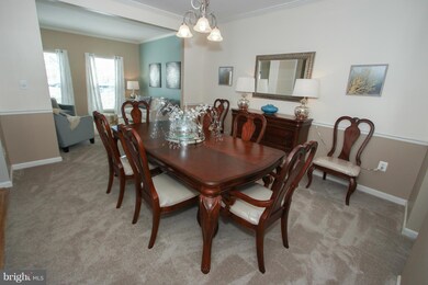 21612 Merion St, Ashburn, VA 20147 - photo 7