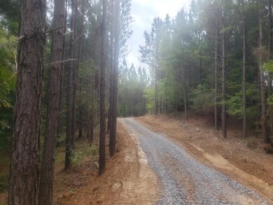 15 Acres Thomas Springs Rd, Crossville, TN 38572 - photo 3