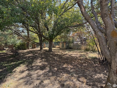 View of yard with an outdoor structure