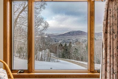 910 Brook Rd unit 1, Stowe, VT 05672 - photo 3